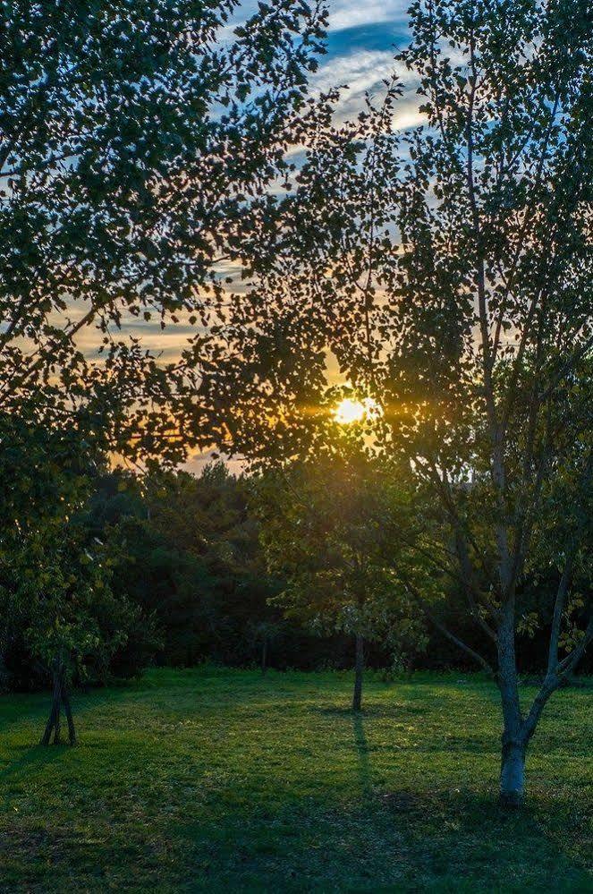 B&B Predio San Fernando Acquapendente Zewnętrze zdjęcie
